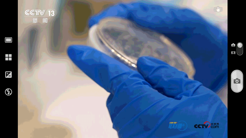 _联播观察｜布局未来产业 总书记多次提到这个关键词_联播观察｜布局未来产业 总书记多次提到这个关键词