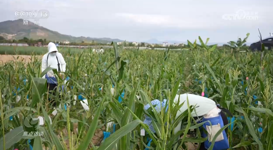 _乡村振兴访谈录_乡村振兴访谈