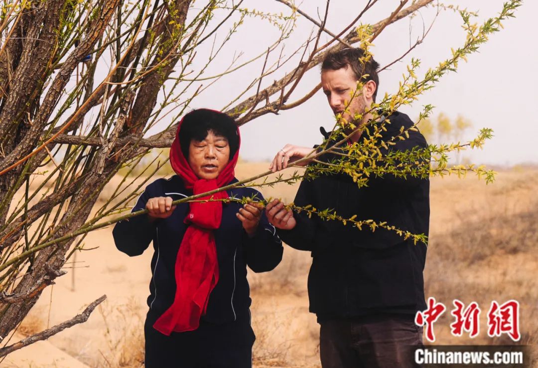 _中国小伙和三个美国妞_中国小伙美国非诚勿扰