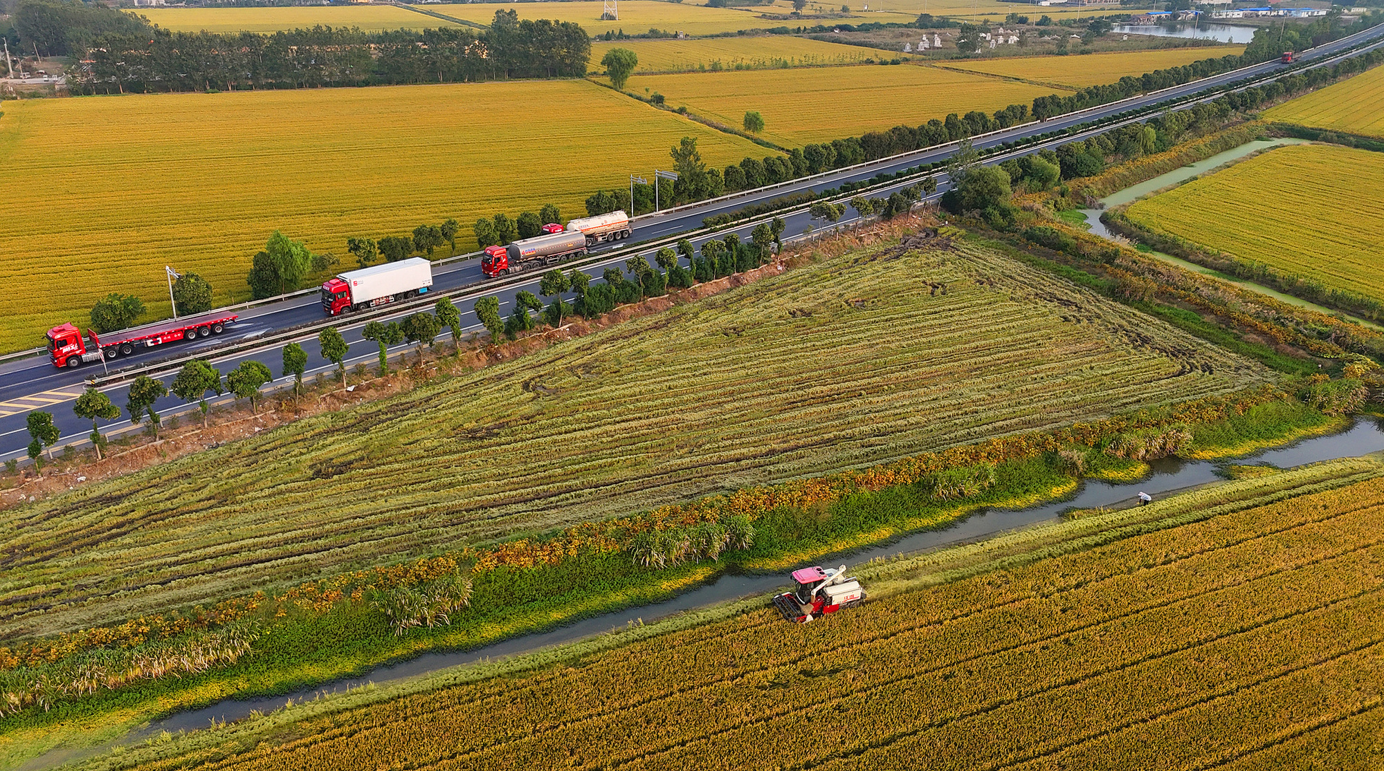 【央广时评】践行大食物观  端牢“中国饭碗”