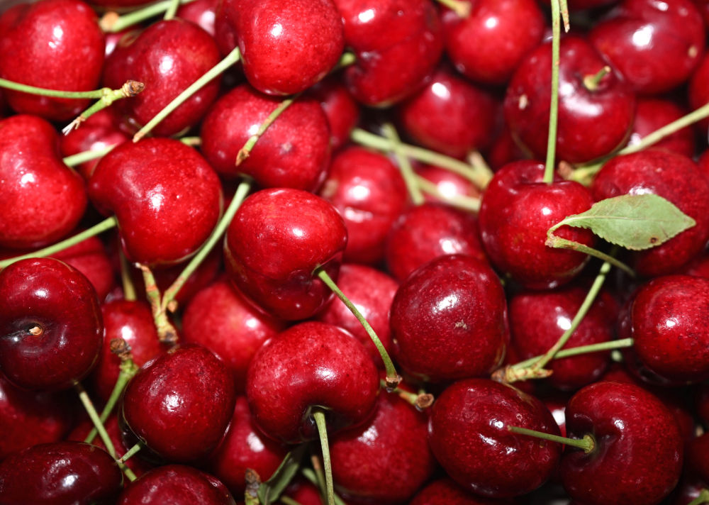 一带一路故事绘 | 漂洋过海的智利“车厘子快线”_一带一路故事绘 | 漂洋过海的智利“车厘子快线”_