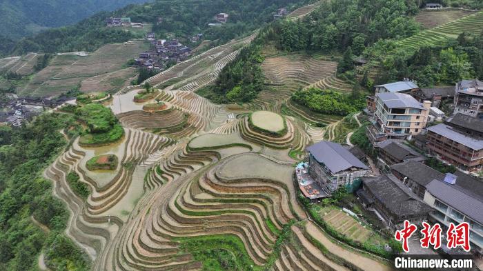 广西梯田在哪个城市_广西农耕文化_