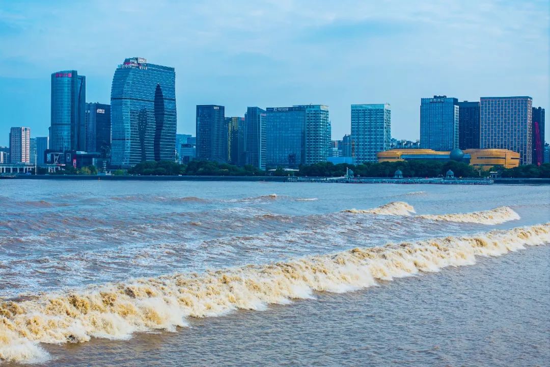 _民营经济蓬勃发展_发挥民营经济