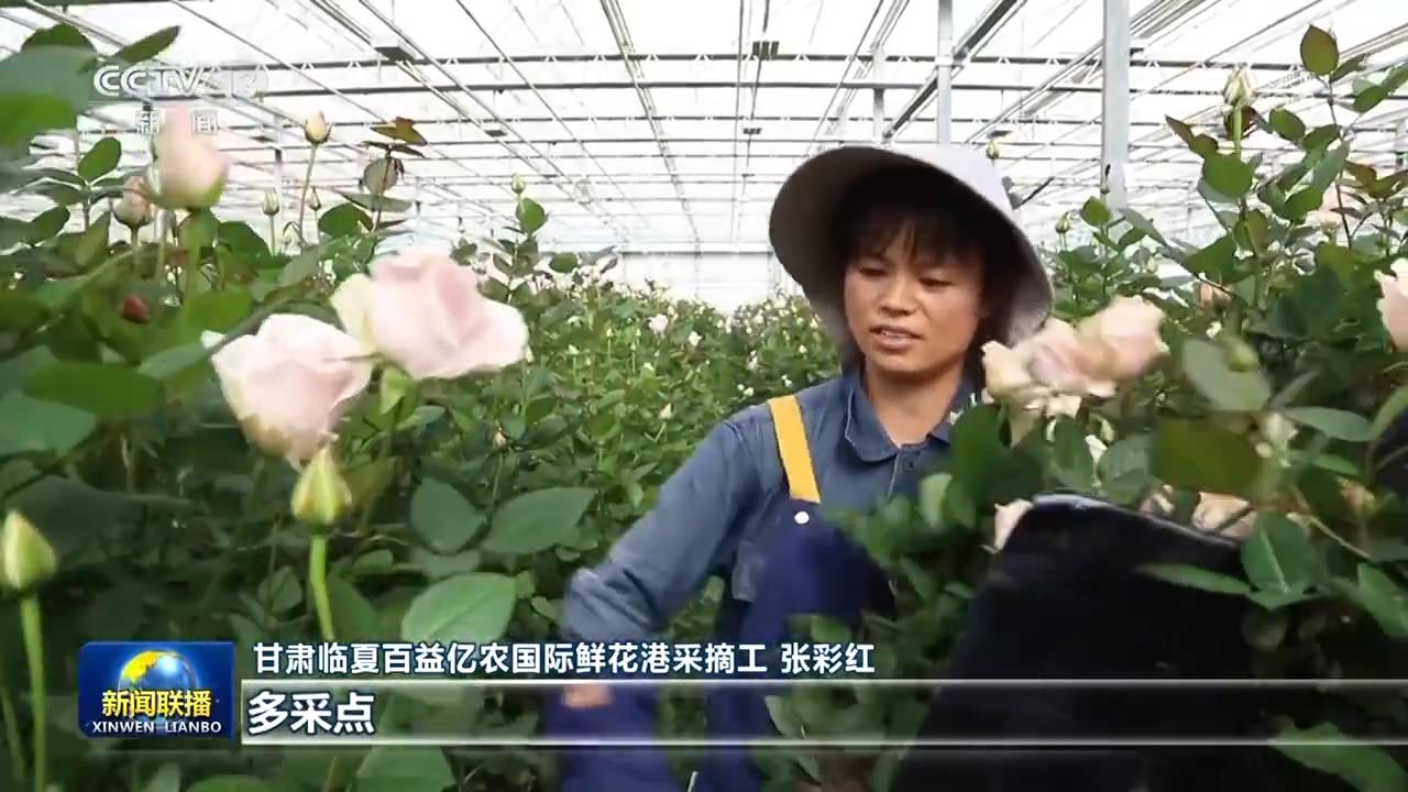 广场舞高原上的红__高原上的红广场舞