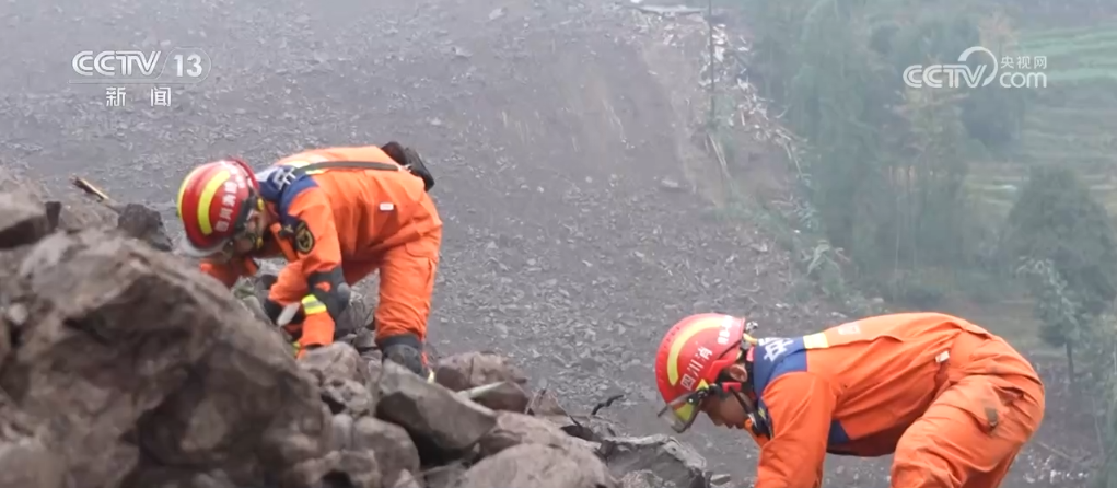 救援色是什么颜色__橙色救援平台