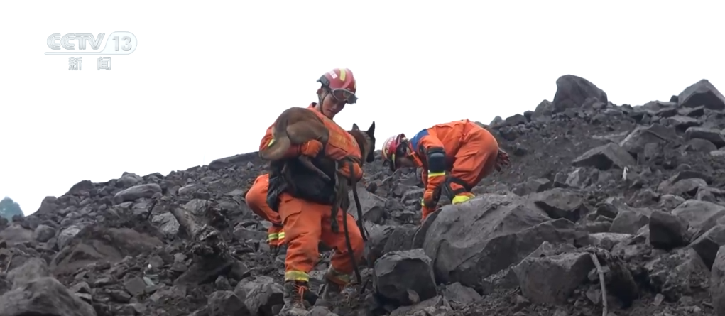 橙色救援平台_救援色是什么颜色_