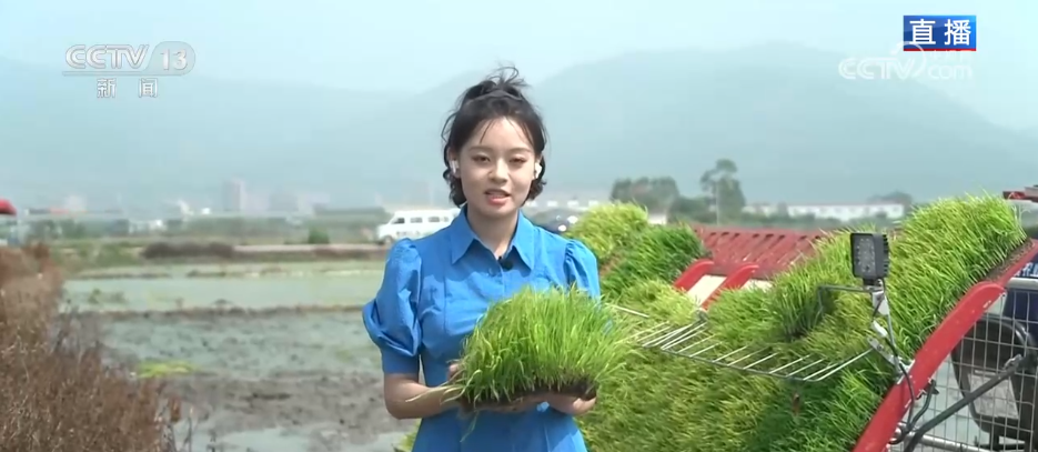 _田野mc_田野id