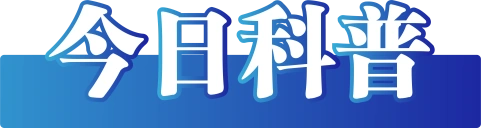 腾讯视频2025年1月1日_2025年6月6日_