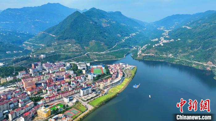 乡村振兴产业振兴问卷_闵行纯农地区乡村振兴_