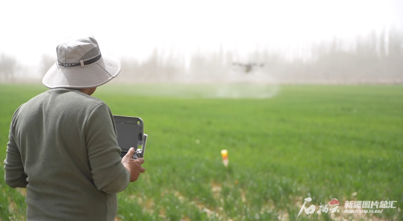 奋进新征程共绘新蓝图__奋进辉煌