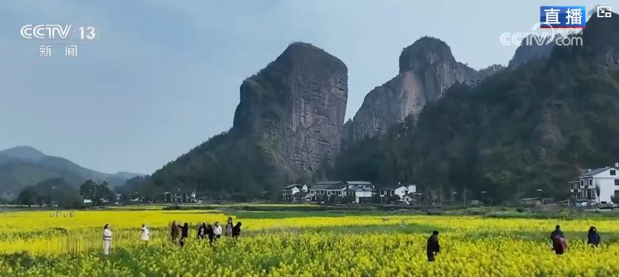 为乡村振兴添一抹绿__乡村振兴种花