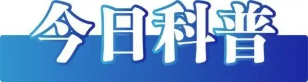 2025年1月20号_2025年12月7日星期几_