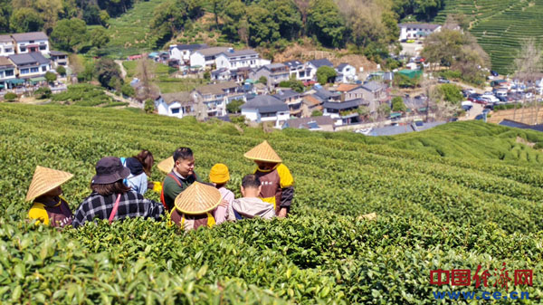 春光旅行社__春光旅行社怎么样
