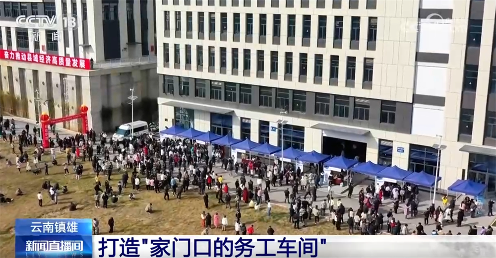 _乡村振兴就业政策_乡村振兴就业岗