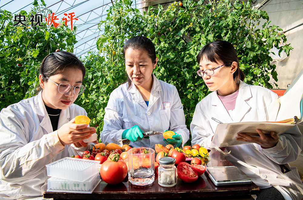拥抱新征程号角吹响_拥抱新征程_
